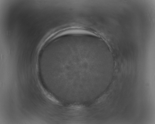 X0000083600247200702091227