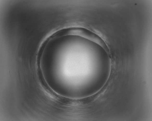 X0000083600248200702091227