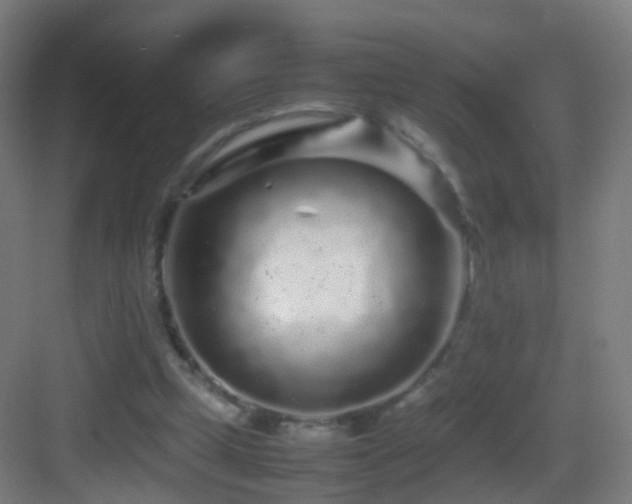 X0000083600249200702091227