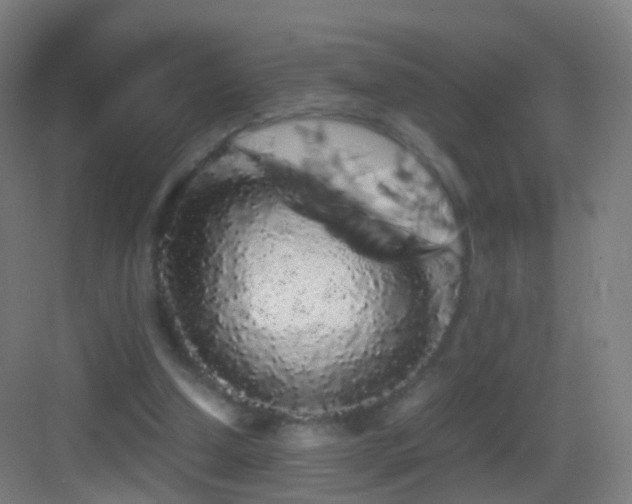 X0000083600250200702091227