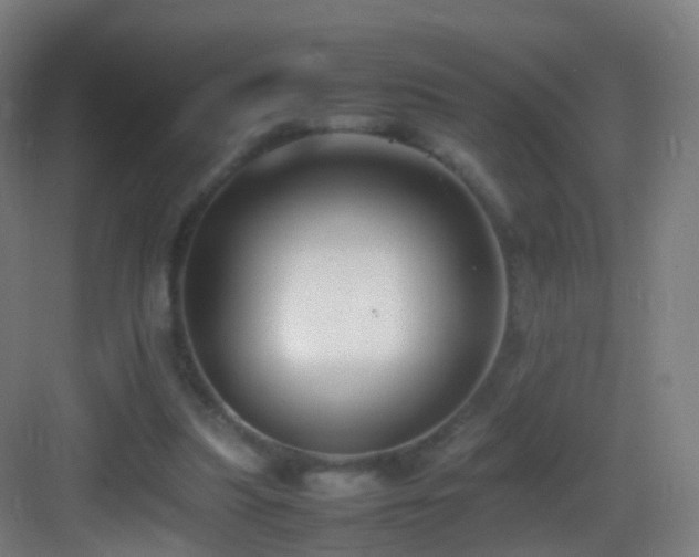 X0000083600251200702091227