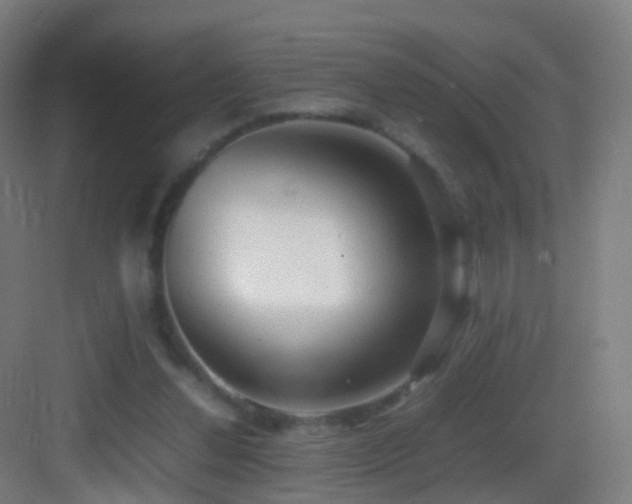 X0000083600252200702091227