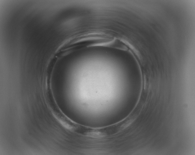 X0000083600253200702091227