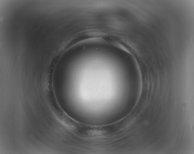 X0000083600255200702091227