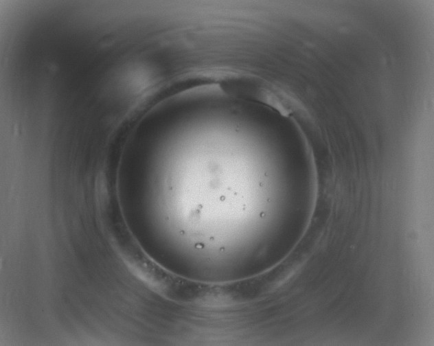 X0000083600256200702091227