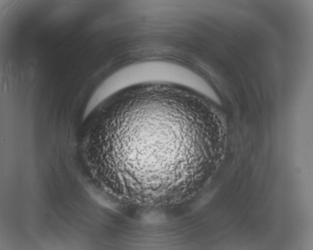 X0000083600258200702091227