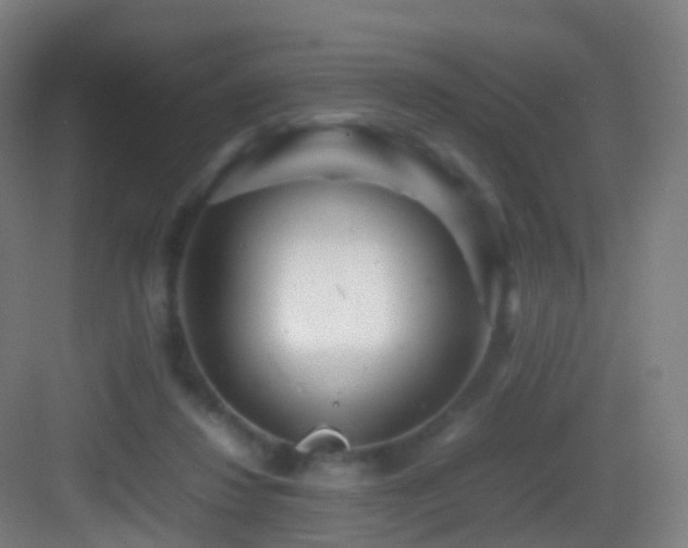 X0000083600260200702091227