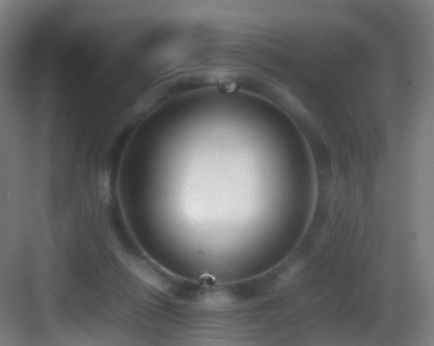 X0000083600262200702091227