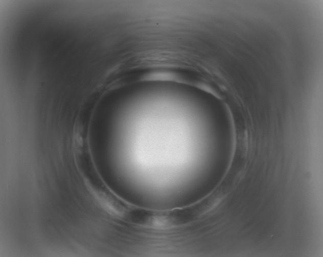 X0000083600264200702091227