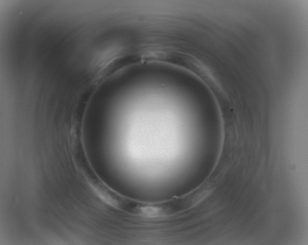 X0000083600265200702091227