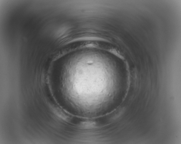 X0000083600266200702091227