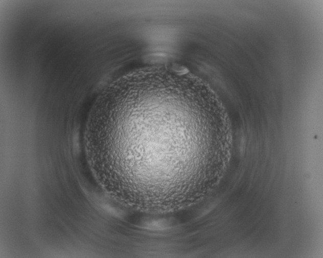 X0000083600267200702091227