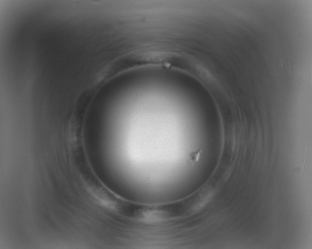 X0000083600268200702091227