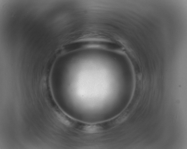 X0000083600269200702091227