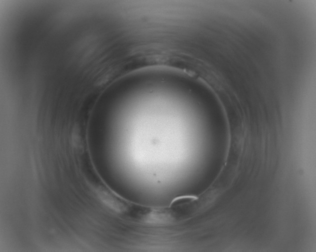 X0000083600270200702091228