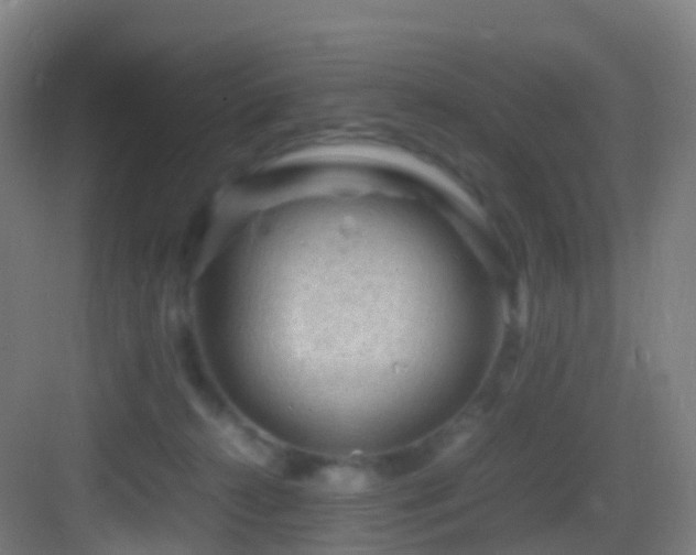 X0000083600272200702091228