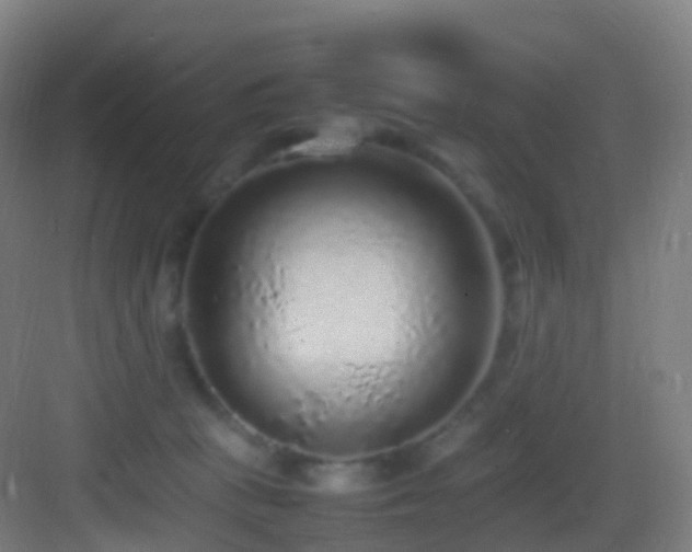 X0000083600273200702091228