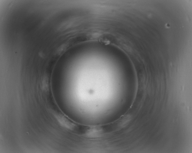 X0000083600274200702091228