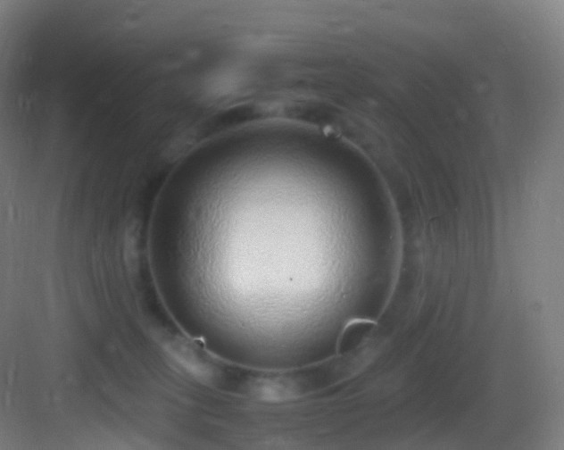 X0000083600275200702091228