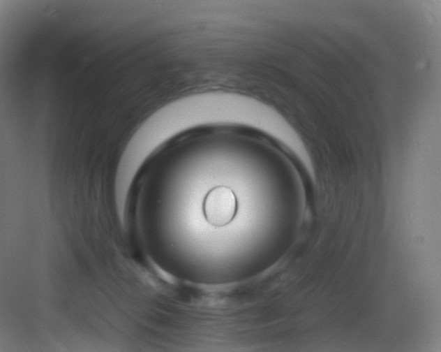 X0000083600276200702091228