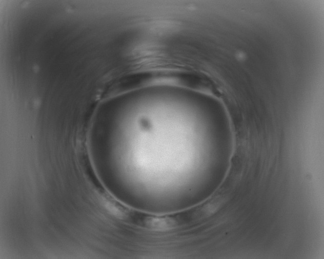 X0000083600277200702091228