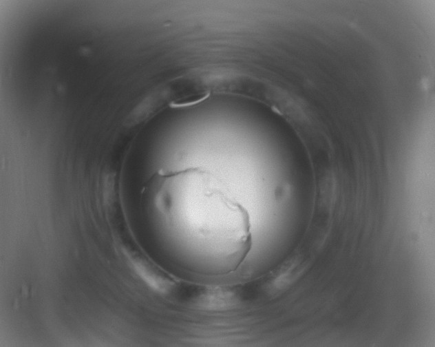 X0000083600278200702091228