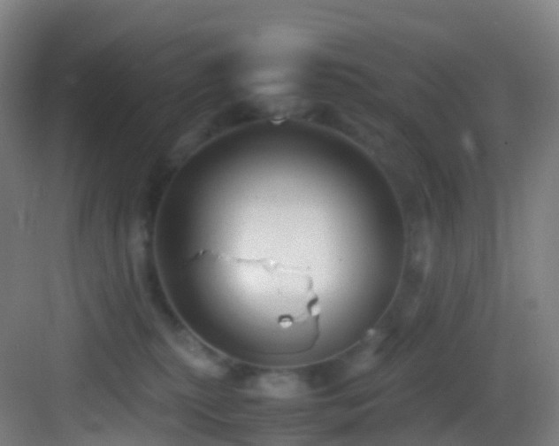 X0000083600279200702091228