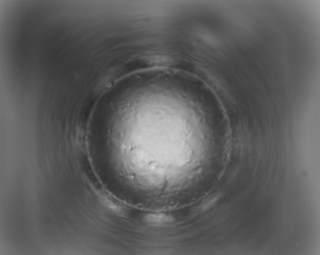 X0000083600281200702091228