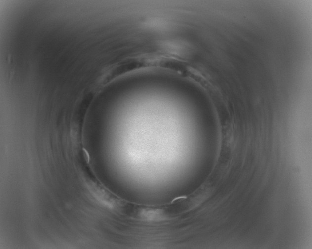 X0000083600283200702091228