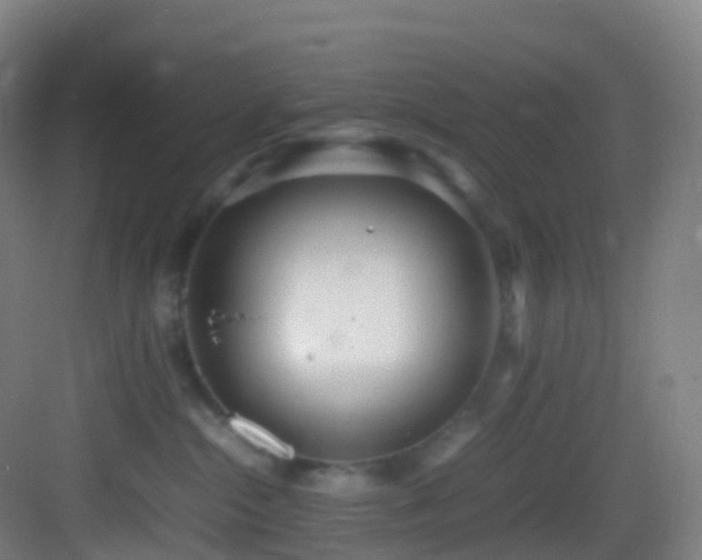 X0000083600284200702091228