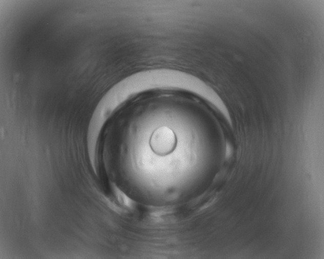 X0000083600286200702091228