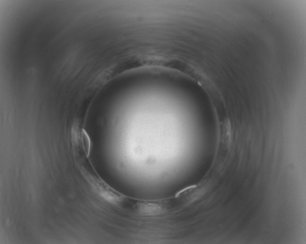 X0000083600287200702091228