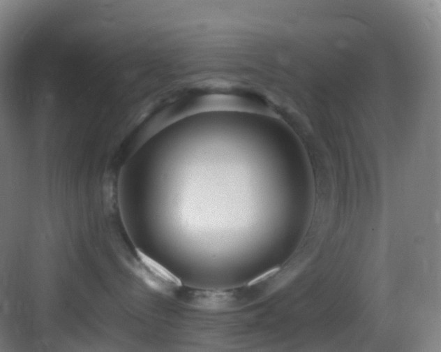 X0000083600288200702091228