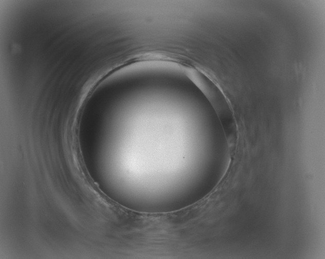 X0000083600289200702091227