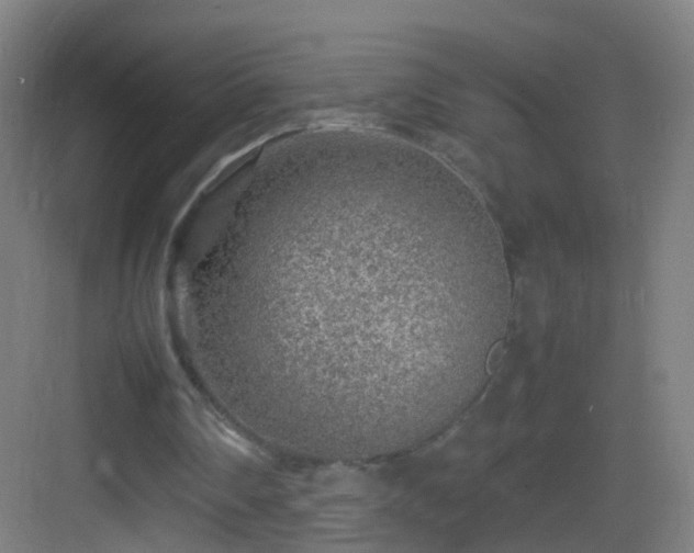 X0000083600290200702091227