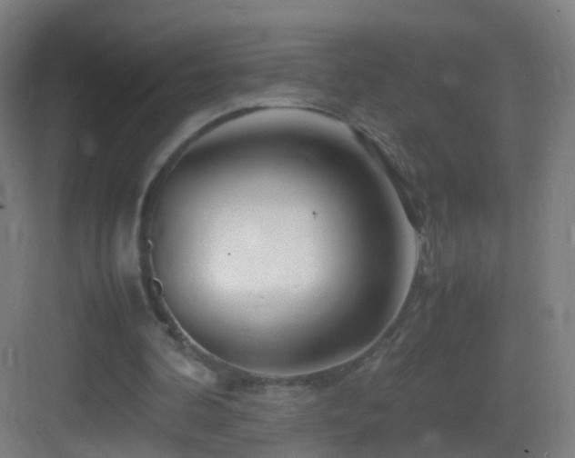 X0000083600292200702091227