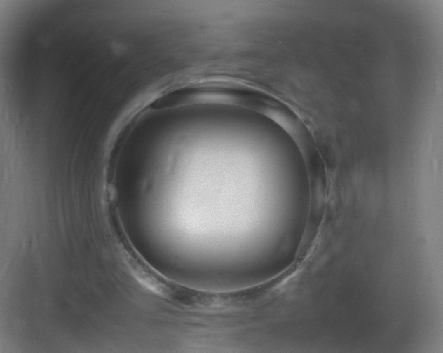 X0000083600293200702091227