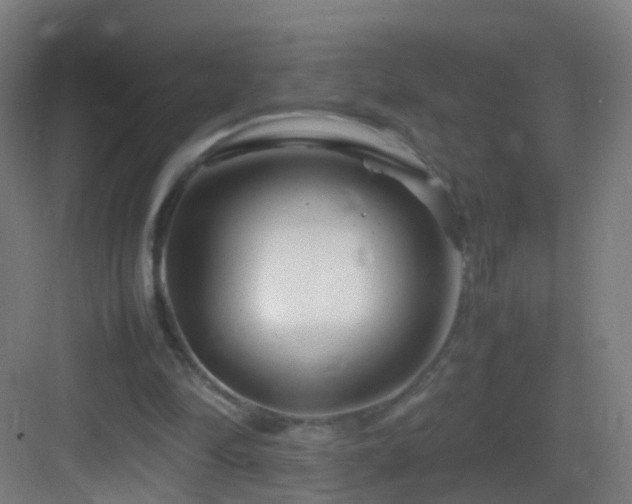 X0000083600294200702091227