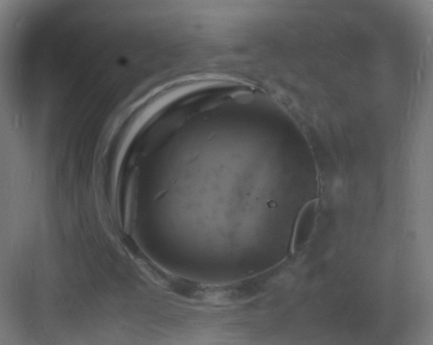 X0000083600295200702091227