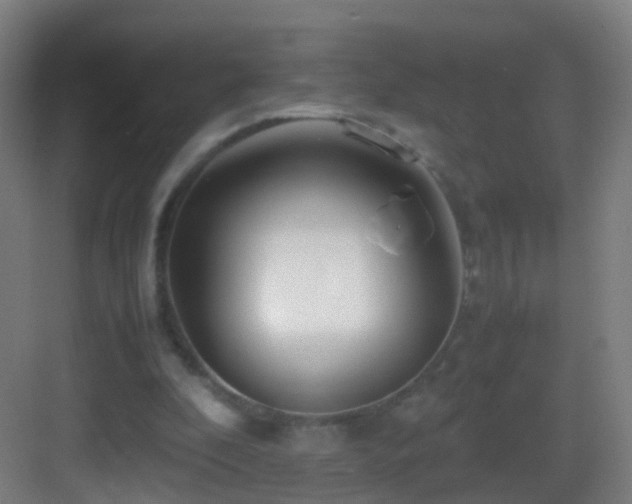 X0000083600296200702091227