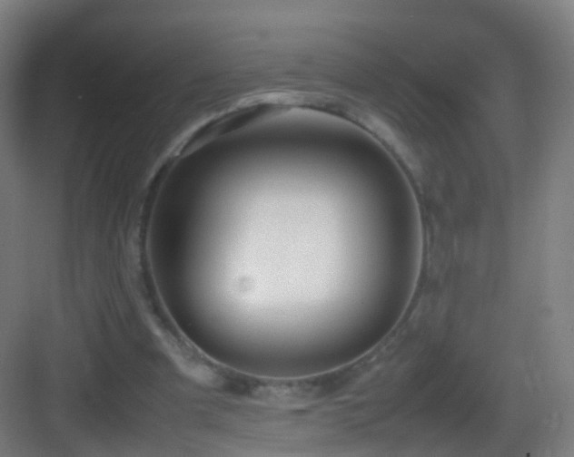 X0000083600297200702091227