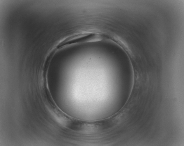 X0000083600298200702091227