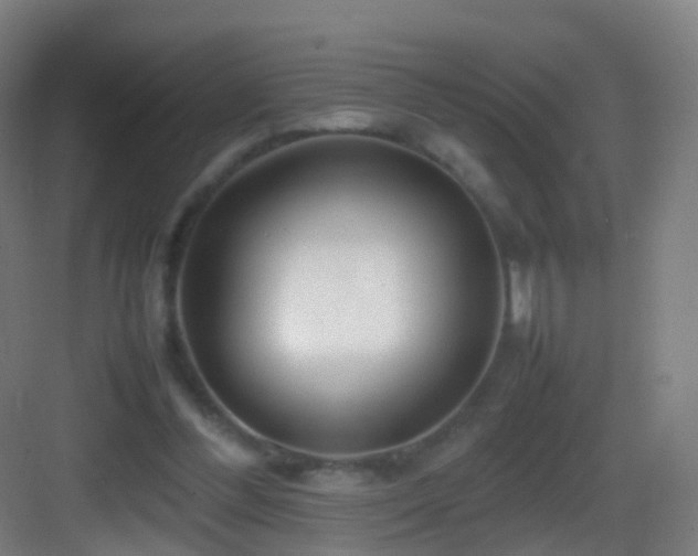 X0000083600300200702091227