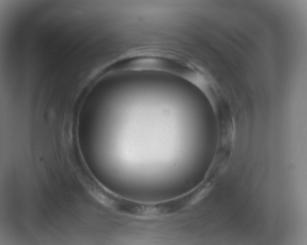 X0000083600301200702091227