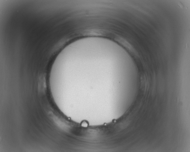 X0000083600302200702091227