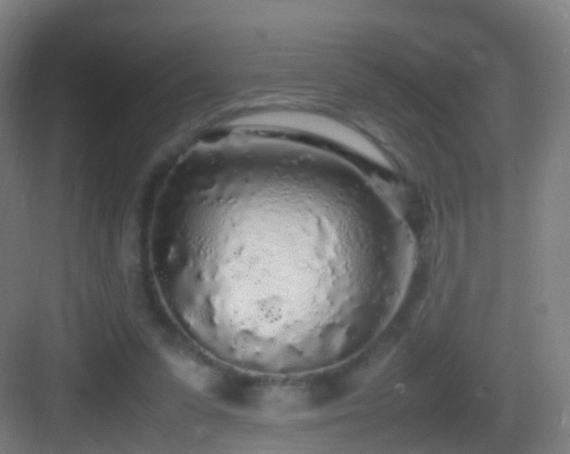 X0000083600303200702091227