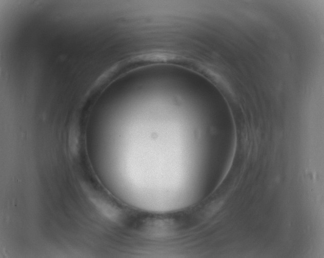 X0000083600304200702091227