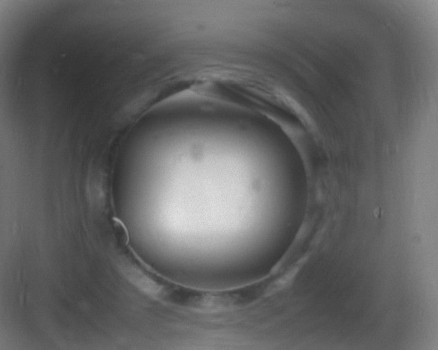 X0000083600305200702091227