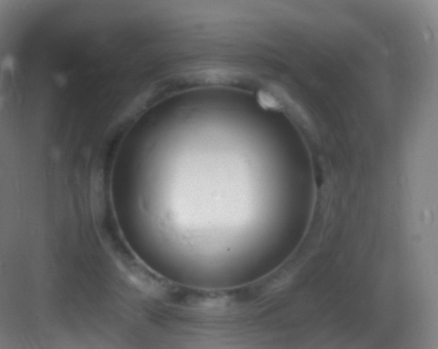 X0000083600306200702091227