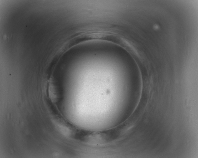 X0000083600307200702091227